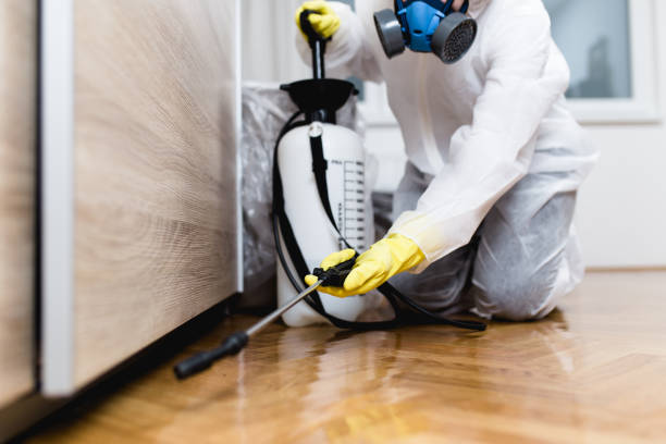 Best Commercial Pest Control Services  in Vicksburg, MI