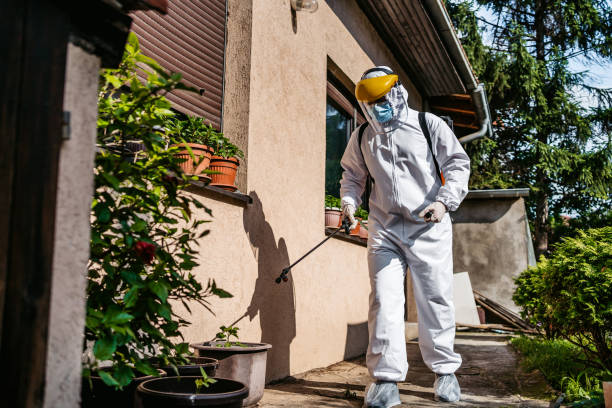Best Rat Extermination Near Me  in Vicksburg, MI