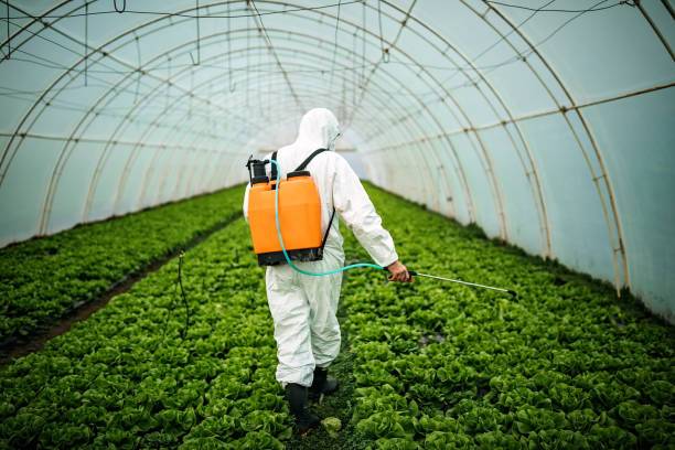 Best Emergency Pest Control  in Vicksburg, MI