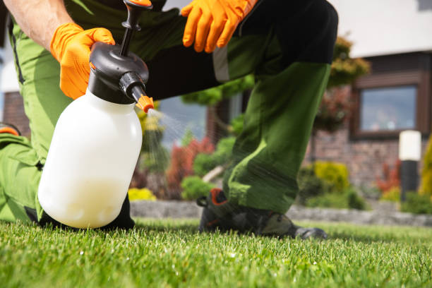 Professional Pest Control in Vicksburg, MI