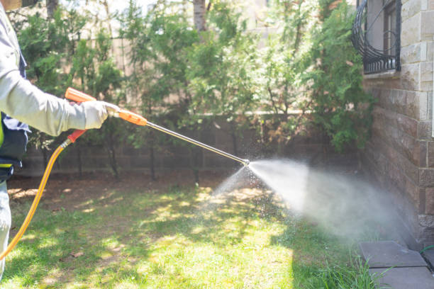 Best Flea Control Services  in Vicksburg, MI