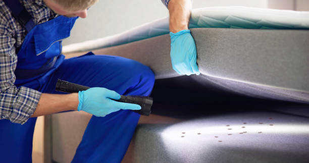 Best Residential Pest Control  in Vicksburg, MI