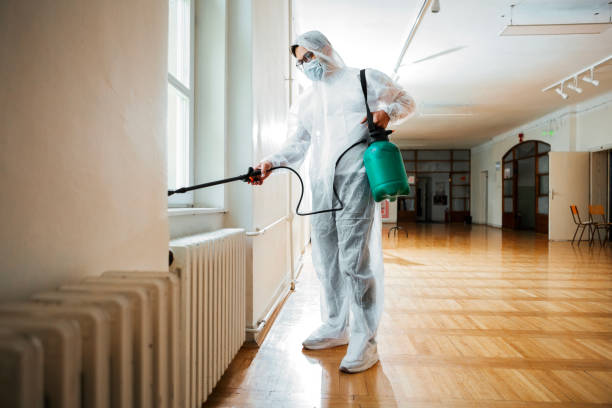 Best Affordable Pest Control Services  in Vicksburg, MI