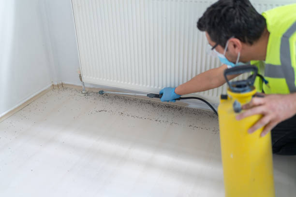 Best Pest Prevention Services  in Vicksburg, MI