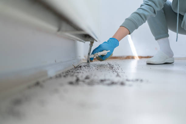 Best Insect Control  in Vicksburg, MI